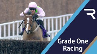 LISTEN TO THE NOISE Faugheen brings the house down in the 2020 Flogas Novice Chase at Leopardstown [upl. by Sofer775]