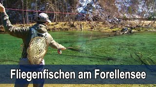 Fliegenfischen am Forellensee  LIVE Bisse  Trockenfliege [upl. by Mace]