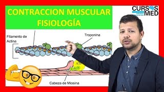 CONTRACCIÓN MUSCULAR FISIOLOGÍA GUYTON explicada FACIL ✅ [upl. by Ilil]