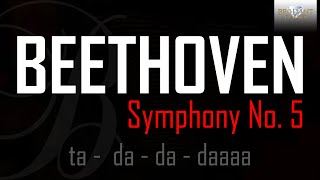 Beethoven Symphony No 5 [upl. by Ennailuj642]