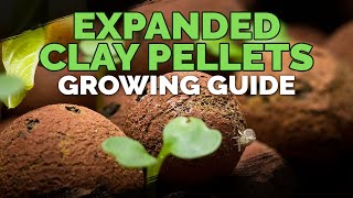 Expanded Clay Pellets Hydroton Growing Guide [upl. by Zingale]