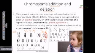 Chromosomal mutation [upl. by Mariam482]