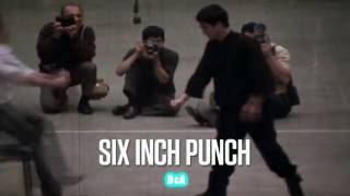 Bruce Lee 1 inch punch compilation [upl. by Airekat]