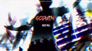 GODWIN  NEXT PILL PRODFENIKO [upl. by Nnylg174]