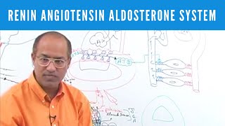 Renin Angiotensin Aldosterone System  RAAS👨‍⚕️ [upl. by Toddie]