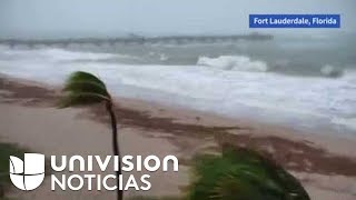 Webcams en vivo del huracán Irma [upl. by Whiteley347]