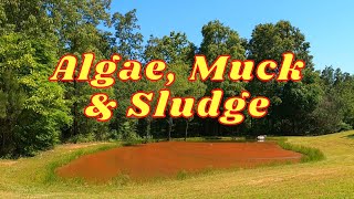 HOW TO Remove Algae Muck and Sludge from a Pond  Clearing Pond Water [upl. by Car]