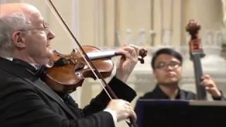 Antonio Vivaldi – Violin Concerto in gminor RV 317 [upl. by Hollyanne893]