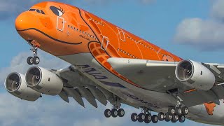 60 MINUTES PURE AVIATION  AIRBUS A380 ILYUSHIN 62 BOEING 747  Aviation Review of Year 2020 4K [upl. by Hurley91]