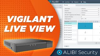 Alibi Vigilant  How To  Live View Settings [upl. by Prudie]