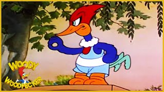 Woody Woodpecker  Wacky Bye Baby  Old Cartoon  Woody Woodpecker Full Episodes [upl. by Anitap]