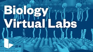 Labster Biology Virtual Labs [upl. by Ayahsey]