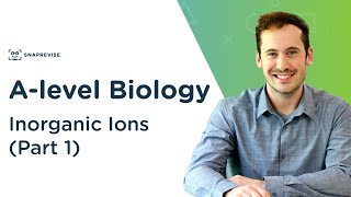 Inorganic Ions Part 1  Alevel Biology  OCR AQA Edexcel [upl. by Atelokin198]