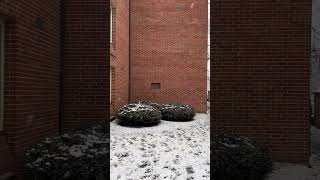 Snow Fall in Athens Ohio [upl. by Ahcsas583]