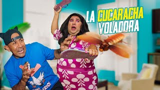 La cucaracha voladora [upl. by Yrrap]