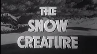 The Snow Creature 1954 Horror Science Fiction [upl. by Klara840]