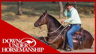 Clinton Anderson How to Correct a Horse Lying Down on the Trail  Downunder Horsemanship [upl. by Vasileior]