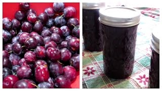 How to make Plum Jam  Canning Done Easy [upl. by Essyla238]