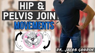 Hip Joint amp Pelvic Girdle Anatomy Joint Movements [upl. by Latreece]