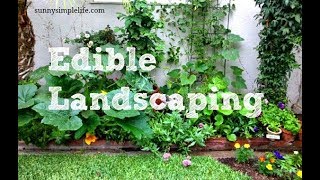 Edible Landscaping The Permaculture Way [upl. by Allison]