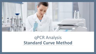 qPCR Analysis  Standard Curve Method [upl. by Margy]