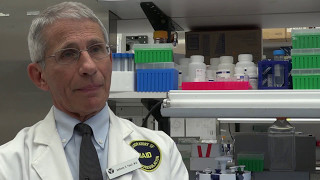 Anthony Fauci Explains Alpha4 Beta7 and HIV [upl. by Salakcin]