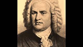 Johann Sebastian Bach  Tocata y fuga en re menor BWV 565 [upl. by Ellebana470]