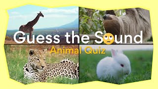 🔊🙉 🙀Guess the Animal Sound  15 Animal Sounds to guess [upl. by Attevad]