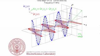 Linear Polarization Animation [upl. by Asuncion275]