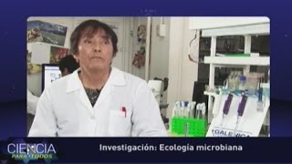 Ecología microbiana [upl. by Ahsinra]