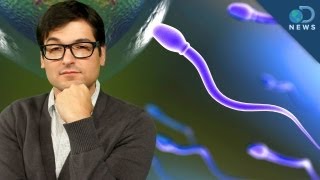 Sperm is the New Superfood [upl. by Vidal]