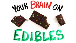 Your Brain On Edible Marijuana [upl. by Adamo247]