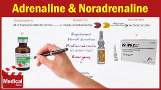 Pharmacology ANS 14 Direct Acting Adrenergic Agonists Adrenaline  Noradrenaline Isoprenaline [upl. by Nnylrebma]