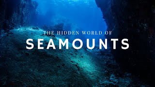 The Hidden World of Seamounts [upl. by Anaujahs]