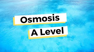 Osmosis  A Level Biology [upl. by Simon]