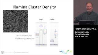 Quantifying Illumina NextGen Sequencing Libraries using digital PCR on the QuantStudio 3D [upl. by Aicnelav959]