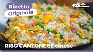 RISO ALLA CANTONESE  Ricetta autentica come in Cina [upl. by Auqcinahs]