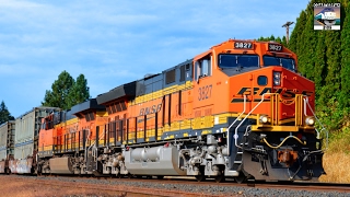 BNSF Trains [upl. by Nodal]