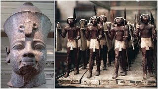 Proof Ancient Egyptians Were Black During 1974 UNESCO Conference [upl. by Eirruc]