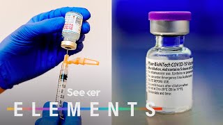 What’s In the Pfizer amp Moderna COVID Vaccines [upl. by Lower347]