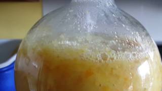 Chemistry extracting limonene oil part 1 [upl. by Eatnoid966]