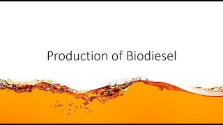 Chem Help  Production of Biodiesel [upl. by Llevaj]