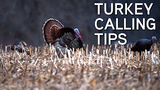 Turkey Calling Tips For Beginners  Basic Turkey Calls [upl. by Kosey160]