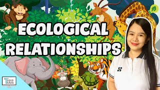 Ecological Relationships Predation Commensalism Mutualism Parasitism Competition  Biology [upl. by Ettennat600]