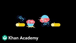 LearnStorm Growth Mindset The Truth About Your Brain [upl. by Bautram]