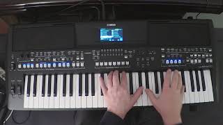 YAMAHA PSRSX600 – Best Pianos [upl. by Euqirrne975]