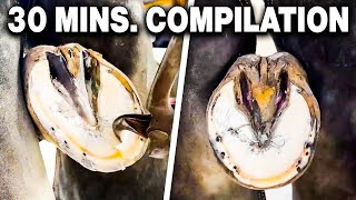 Farrier ASMR Hoof Cleaning Compilation [upl. by Dlanod]