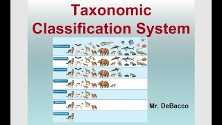 Taxonomic Classification [upl. by Nehtiek306]