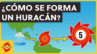 ¿Cómo se Forman los Huracanes [upl. by Faires]