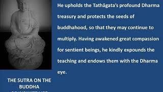 The Sutra on the Buddha of Infinite Life The Larger Sutra on Amitayus Part 1 [upl. by Yarahs]